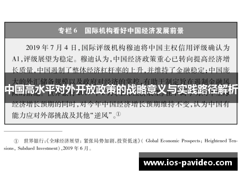 中国高水平对外开放政策的战略意义与实践路径解析