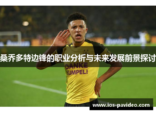 桑乔多特边锋的职业分析与未来发展前景探讨