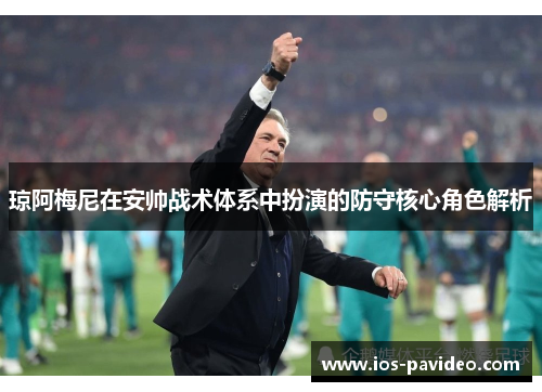 琼阿梅尼在安帅战术体系中扮演的防守核心角色解析