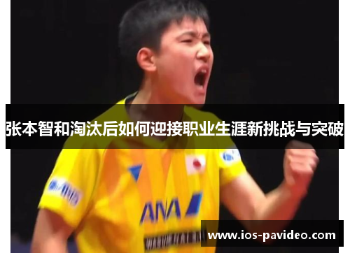 张本智和淘汰后如何迎接职业生涯新挑战与突破