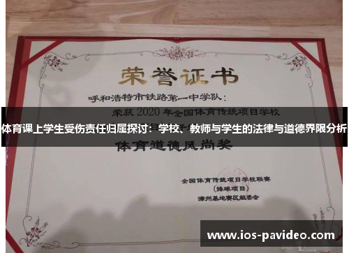 体育课上学生受伤责任归属探讨：学校、教师与学生的法律与道德界限分析