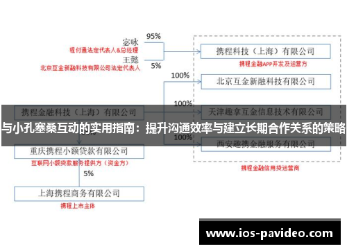 与小孔塞桑互动的实用指南：提升沟通效率与建立长期合作关系的策略