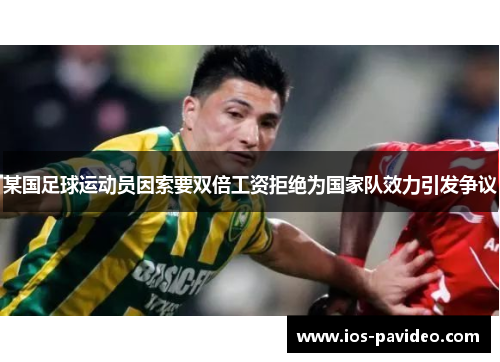 某国足球运动员因索要双倍工资拒绝为国家队效力引发争议