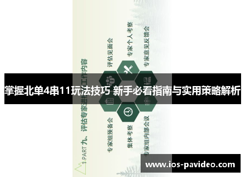 掌握北单4串11玩法技巧 新手必看指南与实用策略解析