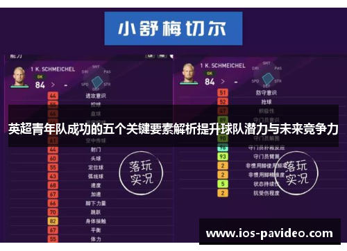 英超青年队成功的五个关键要素解析提升球队潜力与未来竞争力