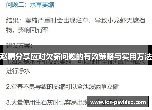 赵鹏分享应对欠薪问题的有效策略与实用方法
