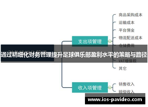 通过精细化财务管理提升足球俱乐部盈利水平的策略与路径