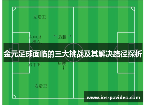 金元足球面临的三大挑战及其解决路径探析