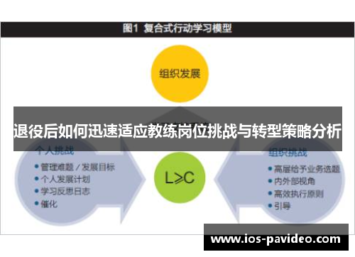 退役后如何迅速适应教练岗位挑战与转型策略分析