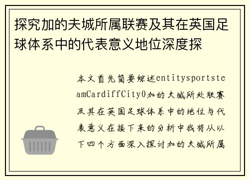探究加的夫城所属联赛及其在英国足球体系中的代表意义地位深度探