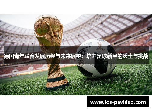 德国青年联赛发展历程与未来展望：培养足球新星的沃土与挑战