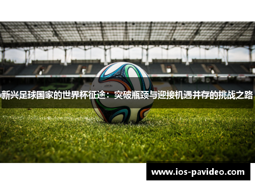 新兴足球国家的世界杯征途：突破瓶颈与迎接机遇并存的挑战之路